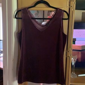 Ann Taylor Factory Tops - Mauve colored velour sleeveless top w/sheer trim Ann Taylor Factory Tops - Mauve colored velour sleeveless top w/sheer trim
